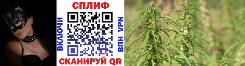 Купить наркотики сайты Ярцево Марихуана  А ПВП  ГАШИШ  АМФ  Псилоцибиновые грибы  КОКАИН 