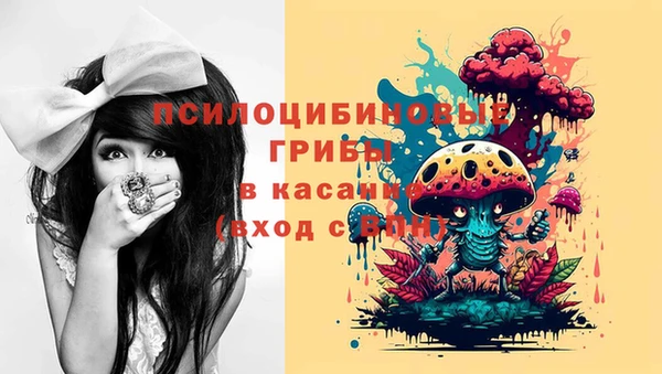 2c-b Алексин