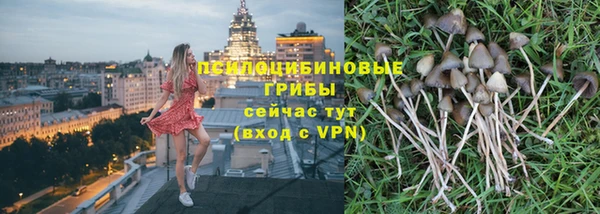 2c-b Алексин