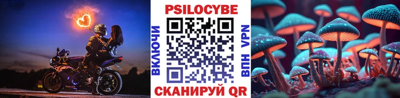 Псилоцибиновые грибы Psilocybe  цена   Ярцево 
