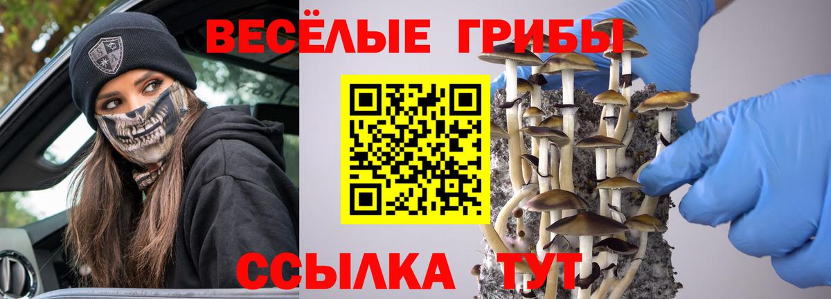 Ярцево  Галлюциногенные грибы мицелий  Псилоцибиновые грибы Magic Shrooms  Вход с VPN 