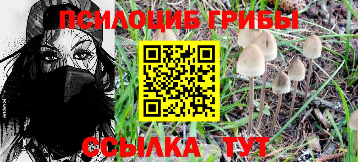 Псилоцибиновые грибы Magic Shrooms Ярцево